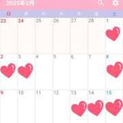 ヒメ日記 2025/03/13 11:56 投稿 いる 神田エマニエル