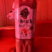 ヒメ日記 2025/01/31 08:43 投稿 のぞみ 多治見・土岐・春日井ちゃんこ