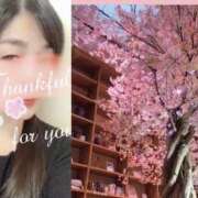 ヒメ日記 2025/03/25 00:57 投稿 真理子 モアグループ所沢人妻城