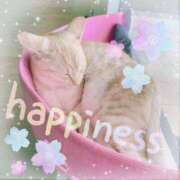 ヒメ日記 2025/04/03 00:33 投稿 真理子 モアグループ所沢人妻城