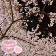 ヒメ日記 2025/04/05 01:27 投稿 真理子 モアグループ所沢人妻城