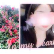 ヒメ日記 2025/04/16 01:33 投稿 真理子 モアグループ所沢人妻城