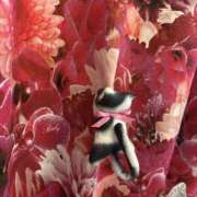 ヒメ日記 2025/02/03 23:03 投稿 エリカ【マダムコース】 秘密の出張部屋