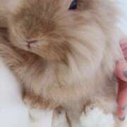 ヒメ日記 2025/02/11 11:13 投稿 エリカ【マダムコース】 秘密の出張部屋