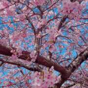 ヒメ日記 2025/03/07 17:53 投稿 エリカ【マダムコース】 秘密の出張部屋