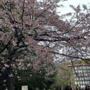 ヒメ日記 2025/03/18 20:13 投稿 エリカ【マダムコース】 秘密の出張部屋