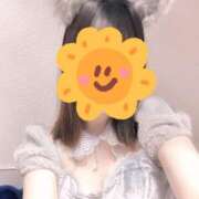 ヒメ日記 2025/06/12 17:08 投稿 ゆいか ハンドキャンパス池袋