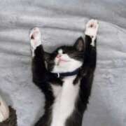 ヒメ日記 2025/03/03 21:06 投稿 えま Vitamin〜ビタミン〜