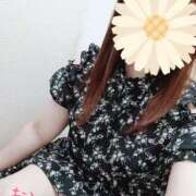 ヒメ日記 2025/05/21 23:23 投稿 おとは 藤沢人妻城