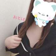 ヒメ日記 2025/10/29 21:11 投稿 おとは 藤沢人妻城