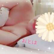 ヒメ日記 2025/11/03 22:45 投稿 おとは 藤沢人妻城