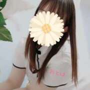 ヒメ日記 2025/11/25 20:11 投稿 おとは 藤沢人妻城