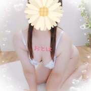 ヒメ日記 2026/01/05 23:41 投稿 おとは 藤沢人妻城