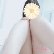 ヒメ日記 2026/01/07 02:40 投稿 おとは 藤沢人妻城