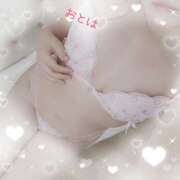 ヒメ日記 2026/04/14 19:01 投稿 おとは 藤沢人妻城