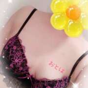 ヒメ日記 2026/04/27 21:11 投稿 おとは 藤沢人妻城