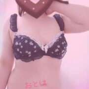 おとは (´,,･ω･)ω-｡)ﾋﾟﾄｯ♡ 藤沢人妻城