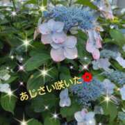 ヒメ日記 2025/06/15 13:59 投稿 えりか 宇都宮人妻デリバリー 一期一会 二章