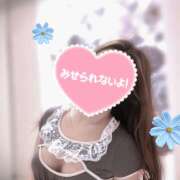 ヒメ日記 2025/03/01 09:51 投稿 蜜井あん ワイフコレクション