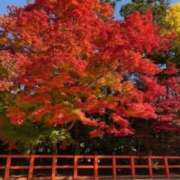 ヒメ日記 2025/11/18 22:34 投稿 森尾あさみ 五十路マダム　広島店