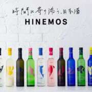 ヒメ日記 2025/05/15 07:27 投稿 みほ先生 DANDY BODY