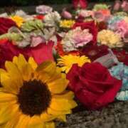 ヒメ日記 2025/10/01 07:00 投稿 みほ先生 DANDY BODY