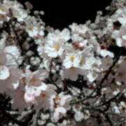 ヒメ日記 2026/04/15 14:50 投稿 みほ先生 DANDY BODY