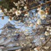 ヒメ日記 2026/04/18 16:20 投稿 みほ先生 DANDY BODY