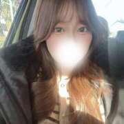 ヒメ日記 2025/03/29 16:00 投稿 藤本 しゅり Neo Elegance（ネオエレガンス）