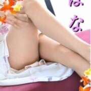 ヒメ日記 2025/08/19 15:34 投稿 はな 熟女の薫り