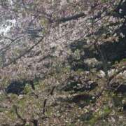 ヒメ日記 2025/04/19 11:12 投稿 なぎ シンデレラ【平均年齢20才、風俗未経験の娘が8割以上】