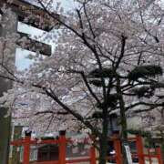 ヒメ日記 2025/03/18 14:48 投稿 桜井(さくらい)奥様【VIP】 金沢の20代30代40代50代が集う人妻倶楽部