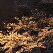 ヒメ日記 2025/03/31 21:17 投稿 みわ 完熟ばなな 立川