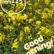 ヒメ日記 2025/04/11 09:07 投稿 みわ 完熟ばなな 立川