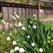 ヒメ日記 2025/05/15 22:57 投稿 みわ 完熟ばなな 立川