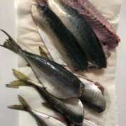 ヒメ日記 2025/05/17 20:50 投稿 みわ 完熟ばなな 立川