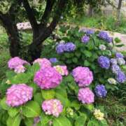 ヒメ日記 2025/06/12 19:57 投稿 みわ 完熟ばなな 立川