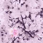 ヒメ日記 2025/03/26 21:38 投稿 椎名とも子(ともこ) 東京不倫～とうきょうふりん～