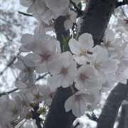 ヒメ日記 2025/04/07 09:48 投稿 椎名とも子(ともこ) 東京不倫～とうきょうふりん～