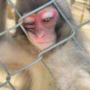 ヒメ日記 2025/09/01 11:38 投稿 椎名とも子(ともこ) 東京不倫～とうきょうふりん～