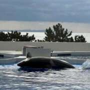 ヒメ日記 2025/01/19 21:39 投稿 るる チェックイン横浜女学園