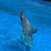 ヒメ日記 2025/01/21 21:27 投稿 るる チェックイン横浜女学園