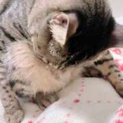 ヒメ日記 2025/07/27 14:26 投稿 むめい 夜這い本舗