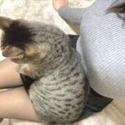 ヒメ日記 2025/12/07 11:55 投稿 むめい 夜這い本舗