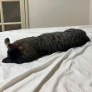 むめい ごめんなさい🙇🏼‍♂️ 夜這い本舗