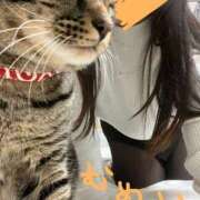 ヒメ日記 2025/01/24 22:22 投稿 むめい メイドde本舗