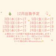 ヒメ日記 2025/11/24 23:26 投稿 むめい メイドde本舗