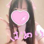 ヒメ日記 2025/12/13 16:19 投稿 むめい メイドde本舗