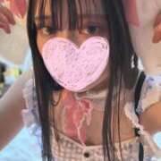 ヒメ日記 2025/02/15 15:45 投稿 スミレ バニーコレクション新潟店