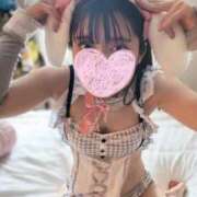 ヒメ日記 2025/03/02 12:03 投稿 スミレ バニーコレクション新潟店